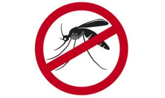 images teste dengue 18011