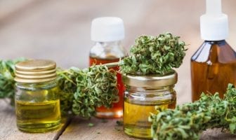 hempmeds-brasil-mostra-como-prescrever-cannabis-medicinal