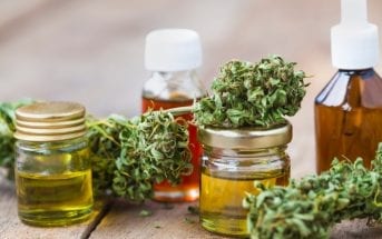hempmeds-brasil-mostra-como-prescrever-cannabis-medicinal