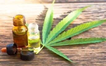 entenda-os-diferentes-usos-da-cannabis-medicinal
