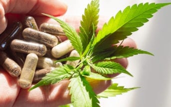farmacêutico-cannabis