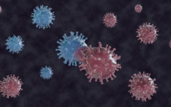 nova-linhagem-coronavírus