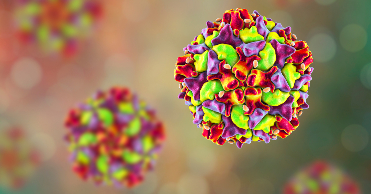 vírus-poliomelite