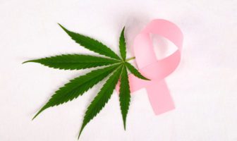 Cannabis-câncer