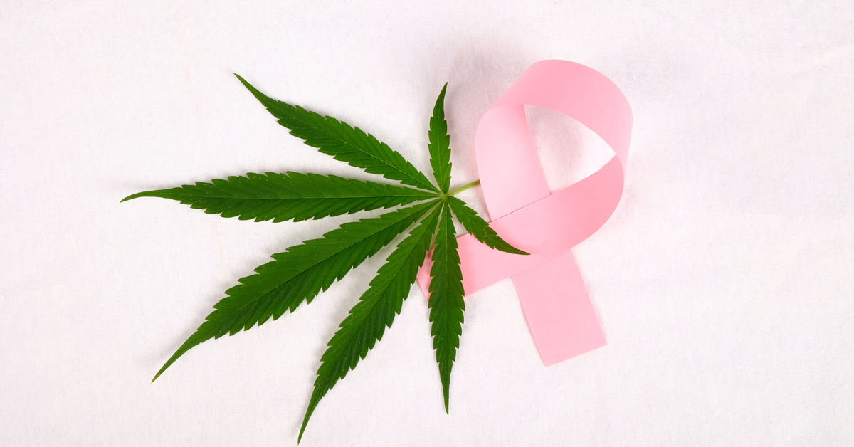 Cannabis medicinal alivia os efeitos colaterais do câncer