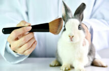 conselho-restringe-uso-de-animais-em-pesquisas-com-cosmeticos