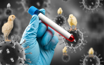 oms-confirma-primeira-morte-por-gripe-aviaria-no-mundo