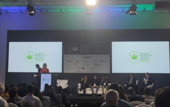 cenario-da-cannabis-no-brasil-ja-conta-com-180-mil-pacientes-cadastrados