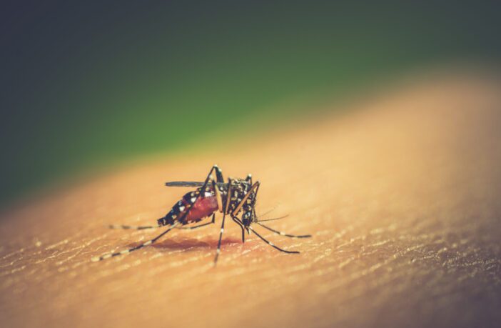 casos-de-dengue-disparam-no-sudeste-em-2023