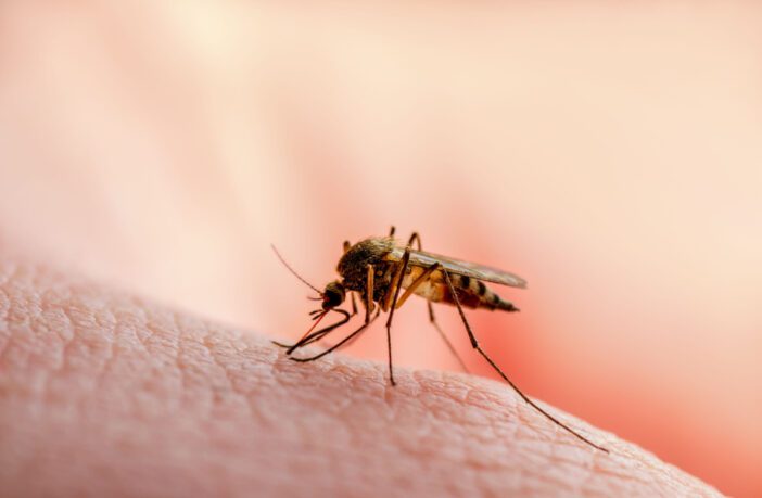 profissionais-de-saude-alertam-para-ressurgimento-do-tipo-3-da-dengue