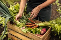 saude-e-principal-motivo-de-compra-para-88-dos-consumidores-de-alimentos-organicos