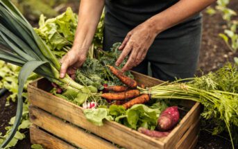 saude-e-principal-motivo-de-compra-para-88-dos-consumidores-de-alimentos-organicos