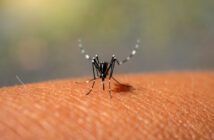 dengue-situacao-de-emergencia