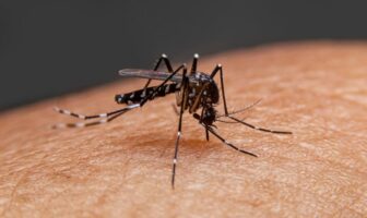 77%-dos-distritos-de-SP-tem-alta-incidencia-de-dengue