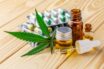 greencare-investira-r-20-mi-para-registro-do-primeiro-medicamento-de-extrato-de-cannabis-no-pais