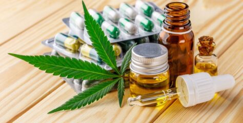 GreenCare investirá R$ 20 mi para registro do primeiro medicamento de Extrato de Cannabis no país