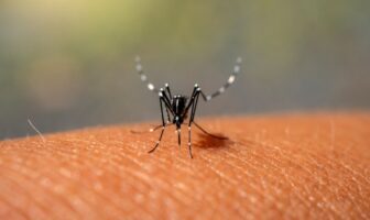 cidade-de-sp-ja-registra-mais-de-100-mil-casos-de-dengue-em-2024