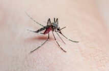 dengue-avanca-em-sp-e-e-considerada-epidemia-em-todos-os-96-bairros-da-cidade
