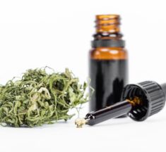 Anvisa aprova novos produtos medicinais à base de Cannabis; já são 18 no país