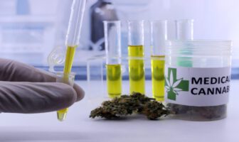 tubo-ensaio-oleo-de-cannabis-medicinal