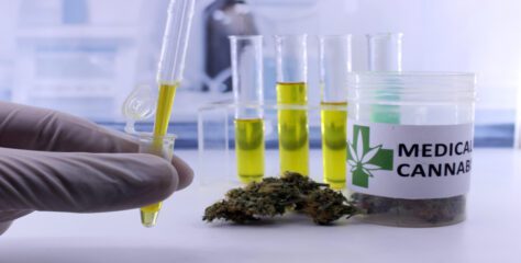 Evento sobre cannabis medicinal mostrará avanços desse mercado